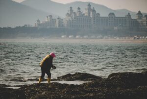 marine, to clean up, city view, artisan, labor, marine, marine, city view, city view, city view, city view, city view, labor